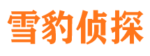 自贡市私家侦探